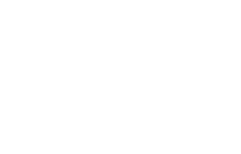 Logo-Transpyr
